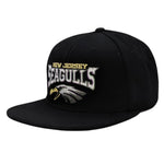 New Jersey Seagulls Hat